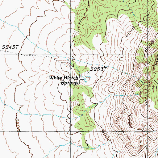 Topographic Map of White Blotch Springs, NV