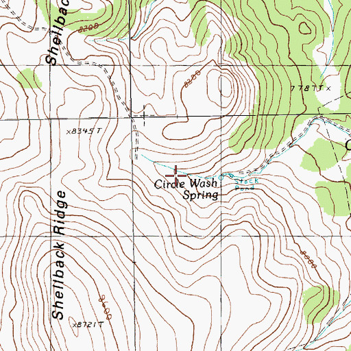 Topographic Map of Circle Wash Spring, NV