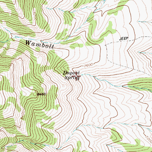 Topographic Map of Dupont Spring, NV
