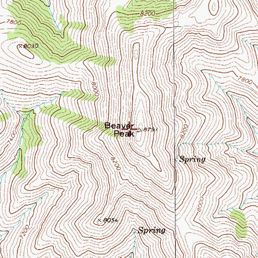 Topographic Map of Beaver Peak, NV