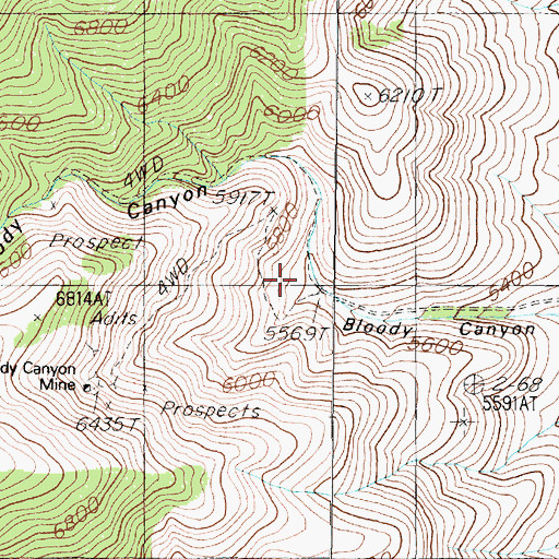 Topographic Map of Bloody Mine, NV