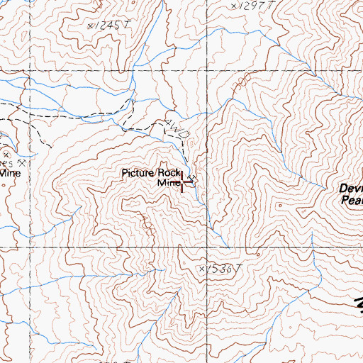 Topographic Map of Picture Rock Mine, NV