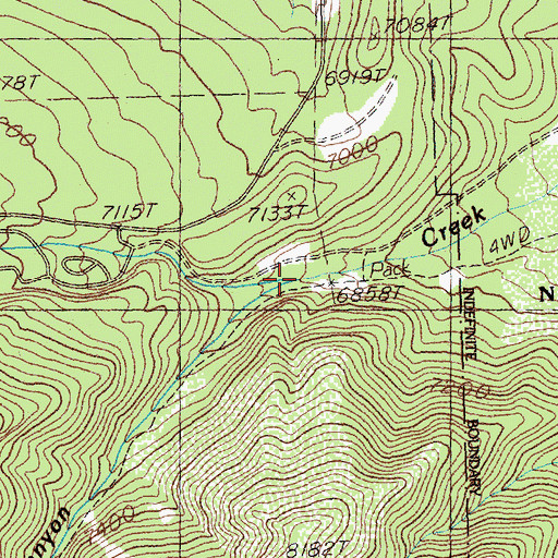 Topographic Map of Pole Creek, NV