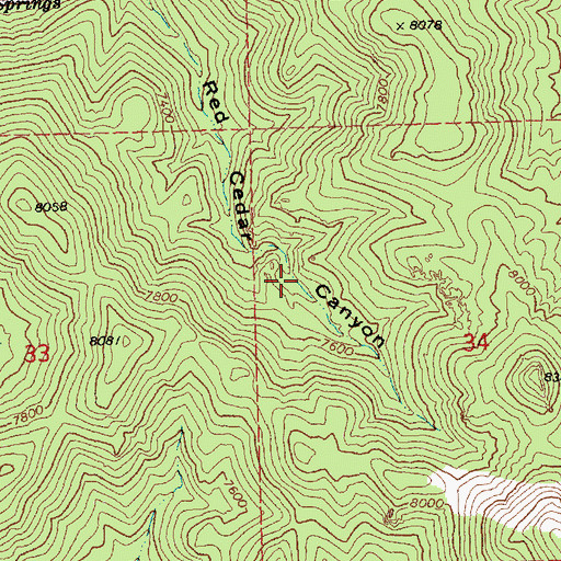 Topographic Map of Red Cedar Spring, NV