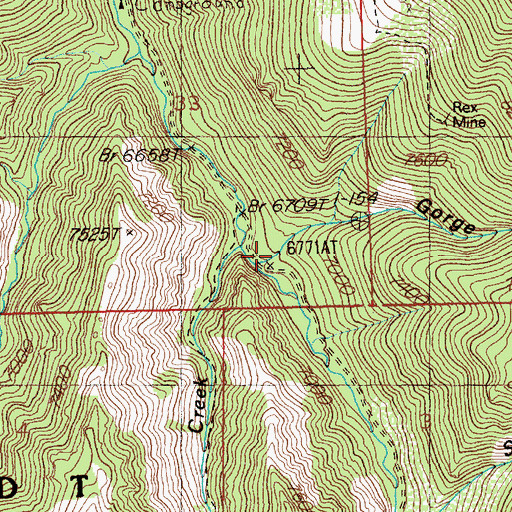 Topographic Map of Black Cat Mine, NV