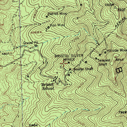 Topographic Map of Bristol Silver Mines, NV