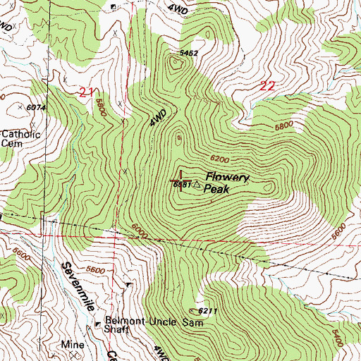 Topographic Map of Flowery Peak, NV