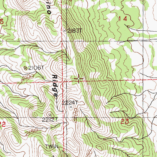 Topographic Map of Palomino Ridge, NV