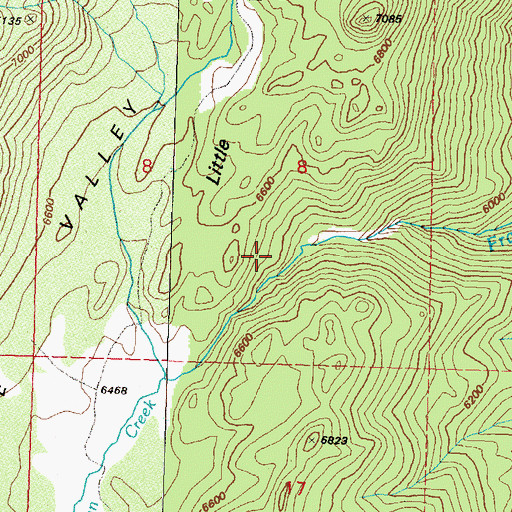 Topographic Map of Little Valley Mining District, NV