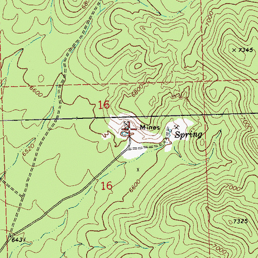 Topographic Map of Leech Mine, NV