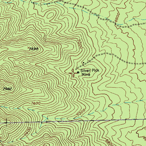 Topographic Map of Silver Pick Mine, NV