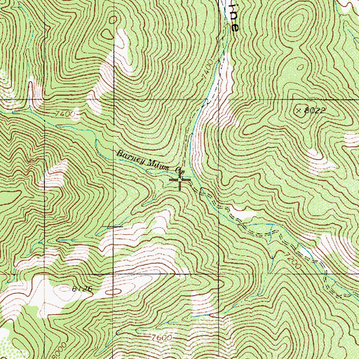 Topographic Map of Barney Meadows Creek, NV