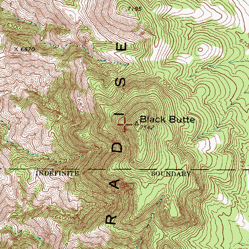 Topographic Map of Black Butte, NV