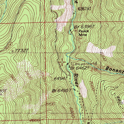 Topographic Map of Bonanza Gulch, NV