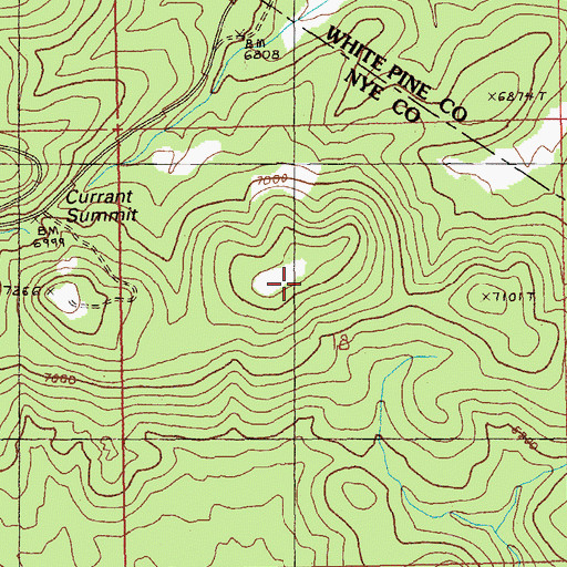 Topographic Map of Currant Summit, NV