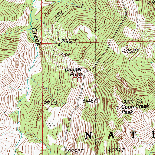 Topographic Map of Danger Point, NV