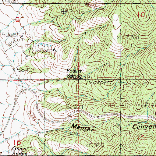 Topographic Map of Fowler Spring, NV