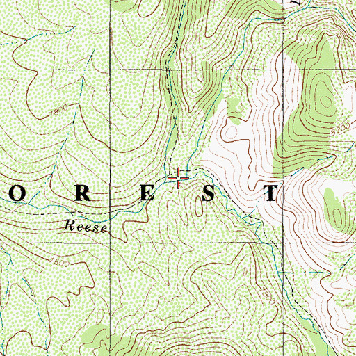 Topographic Map of Little Sawmill Creek, NV