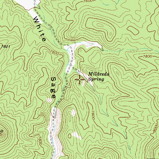 Topographic Map of Mildreds Spring, NV