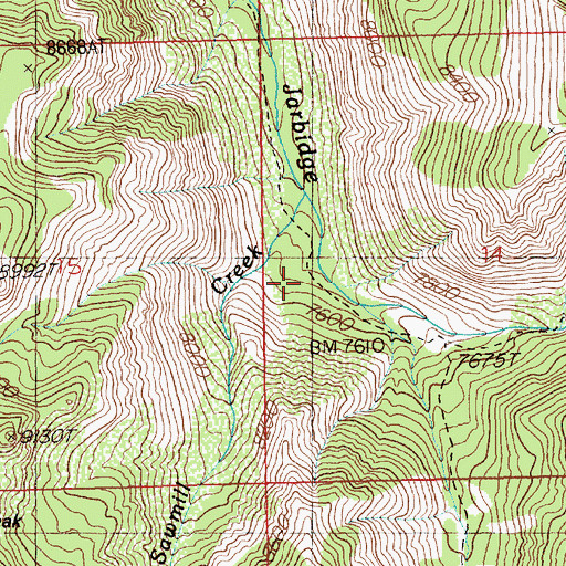 Topographic Map of Sawmill Creek, NV