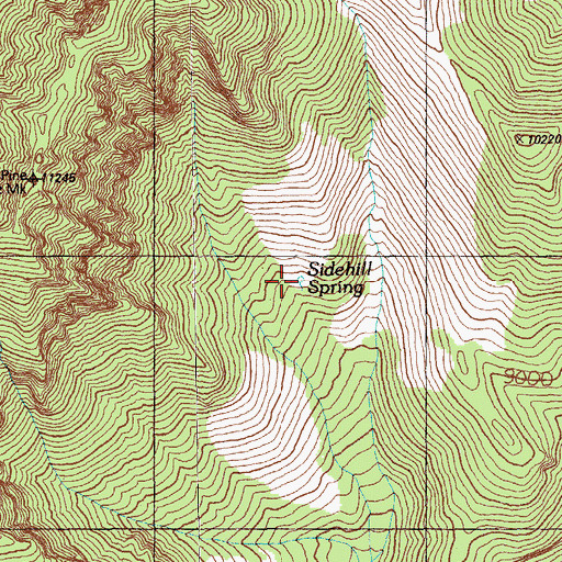 Topographic Map of Sidehill Spring, NV