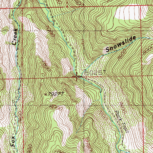 Topographic Map of Snowslide Gulch, NV