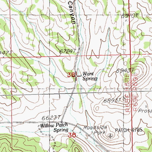 Topographic Map of Want Spring, NV