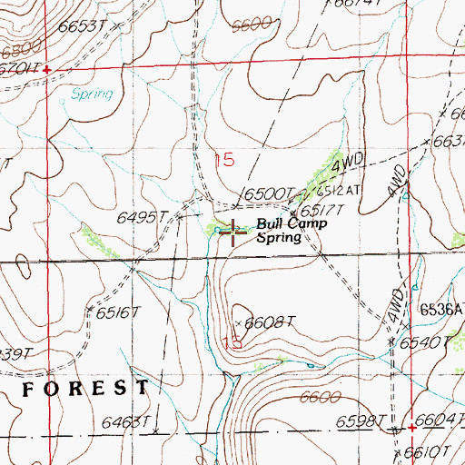 Topographic Map of Bull Camp Spring, NV