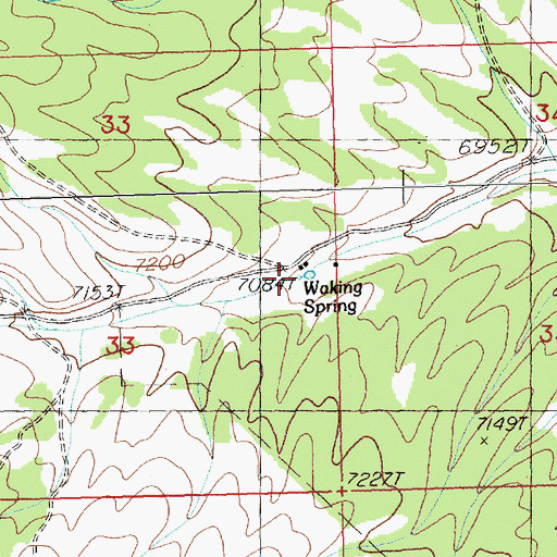 Topographic Map of Watkins Spring, NV