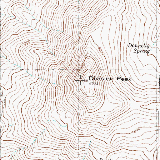 Topographic Map of Donnelly Peak, NV