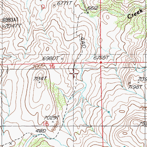 Topographic Map of P Goicoechea Ranch, NV