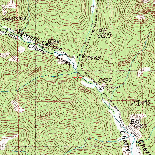 Topographic Map of Cherry Creek Forest Service Facility, NV
