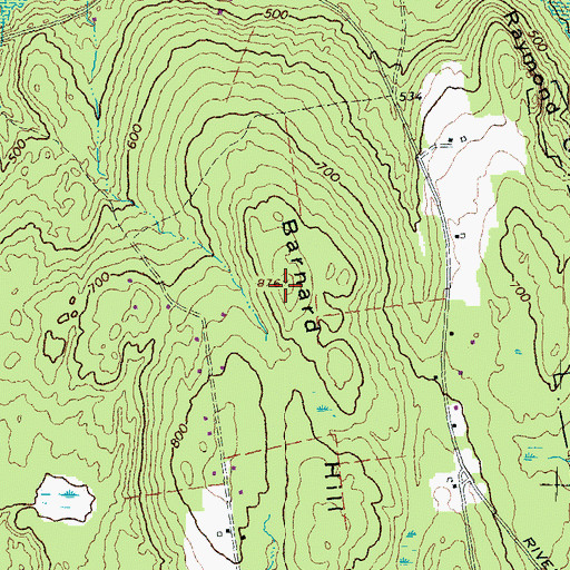 Topographic Map of Barnard Hill, NH