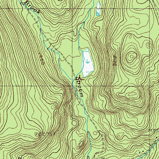 Topographic Map of Columbia Brook, NH