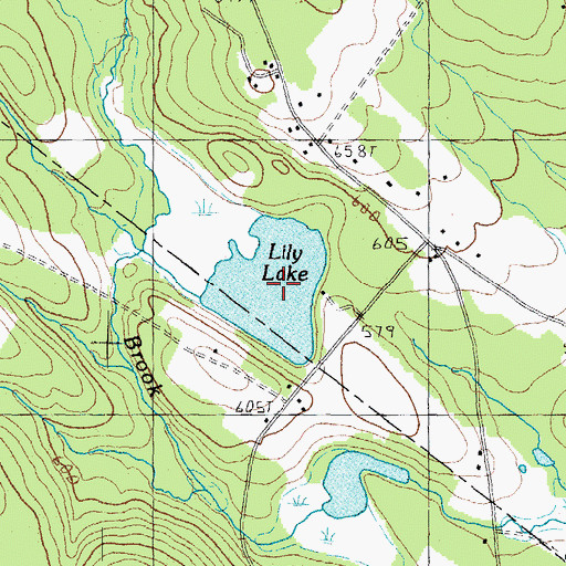 Topographic Map of Lily Lake, NH