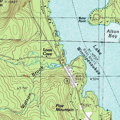 Topographic Map of Loon Cove, NH