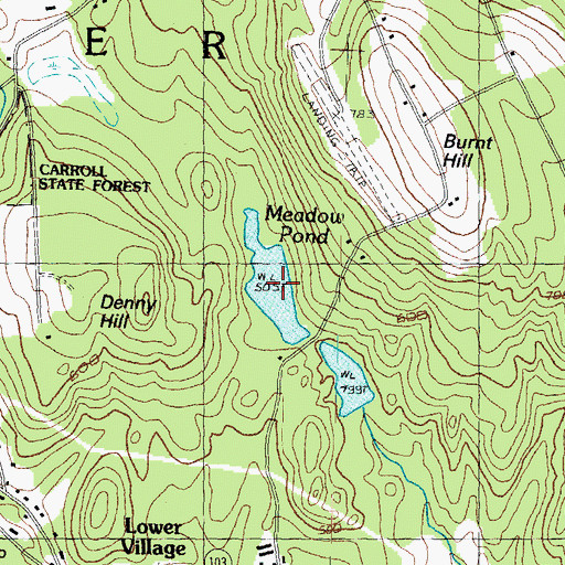Topographic Map of Meadow Pond, NH