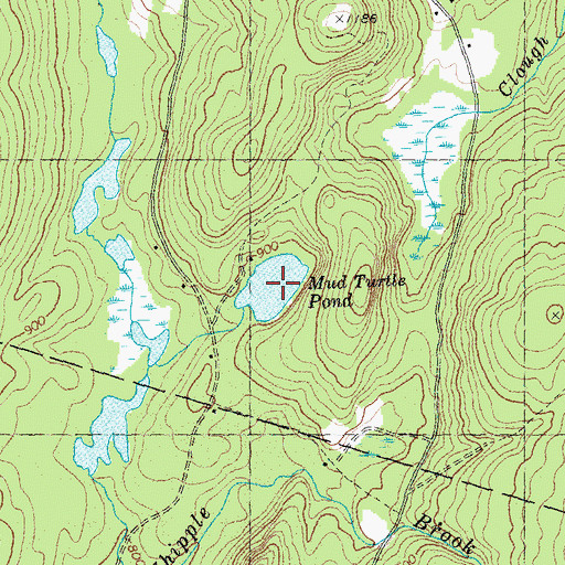 Topographic Map of Mud Turtle Pond, NH