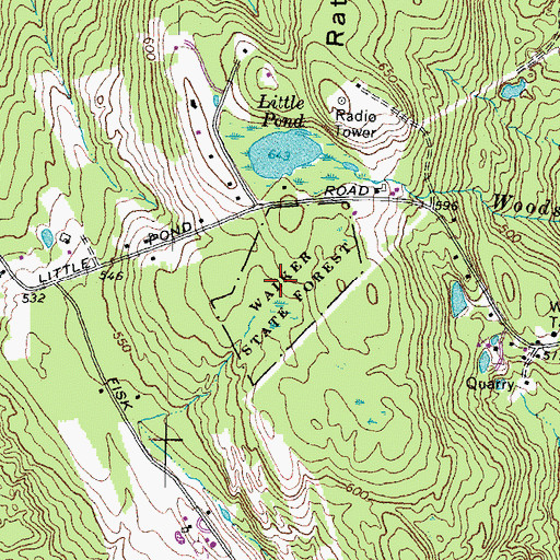 Topographic Map of Walker State Forest, NH