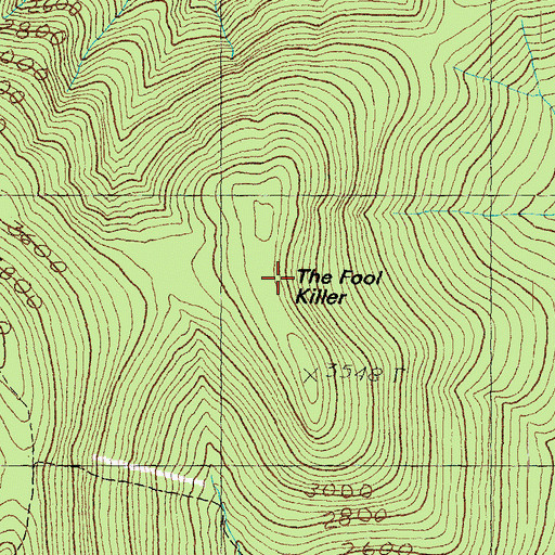 Topographic Map of The Fool Killer, NH