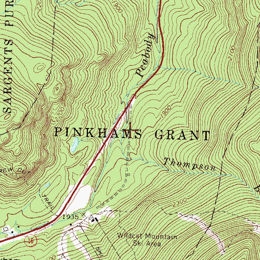 Topographic Map of Thompson Brook, NH