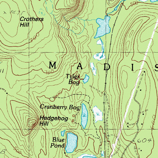 Topographic Map of Tyler Bog, NH