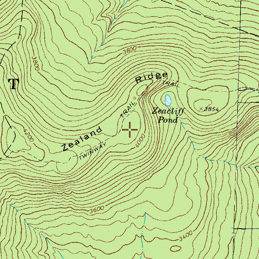Topographic Map of Zealand Ridge, NH