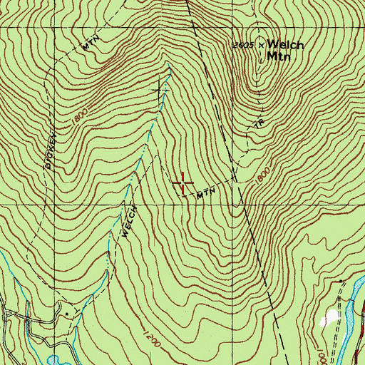 Topographic Map of Welch Mountain Trail, NH