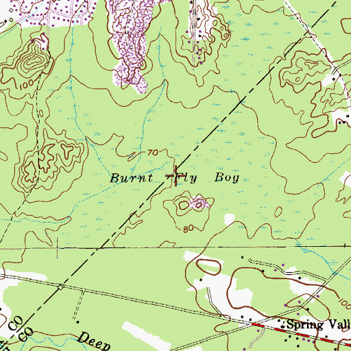 Topographic Map of Burnt Fly Bog, NJ