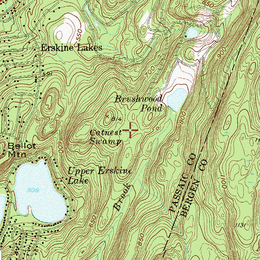 Topographic Map of Catnest Swamp, NJ