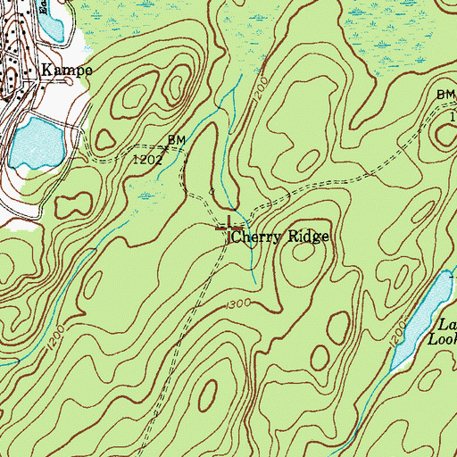Topographic Map of Cherry Ridge, NJ