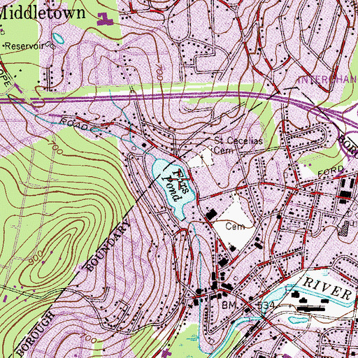 Topographic Map of Foxs Pond, NJ