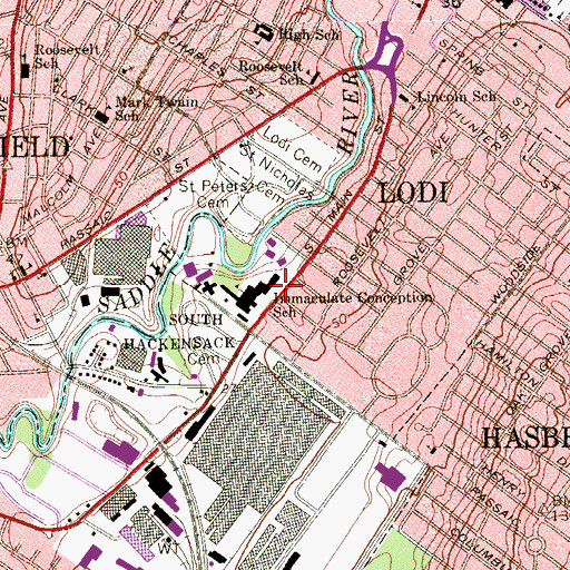 Topographic Map of Felician College, NJ