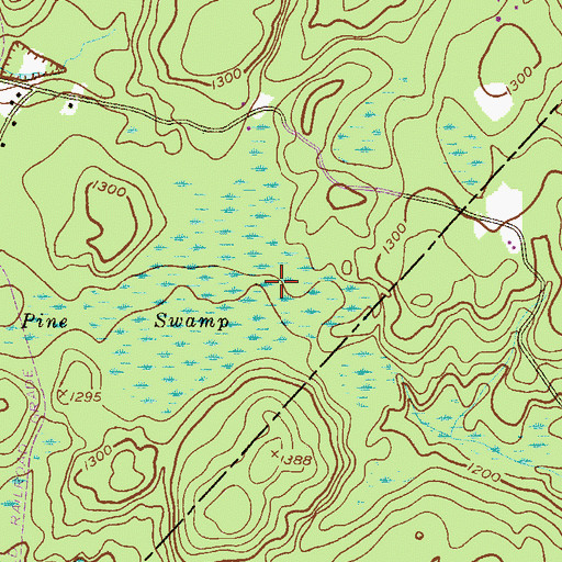 Topographic Map of Pine Swamp, NJ